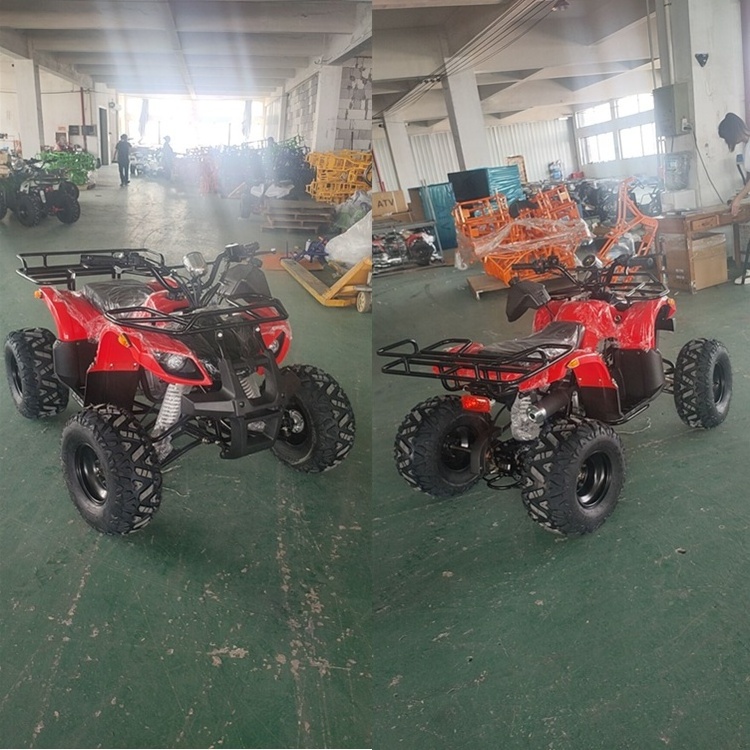 49CC125CC150CC 200CC 4x4 ATVs UTVs four wheel off-road motorcycle farm motor 4 wheeler quad moto bike