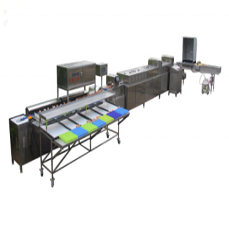 JUYOU Egg Grading And Packing Machine / Egg Cleaning And Grading machine /Egg Classifier