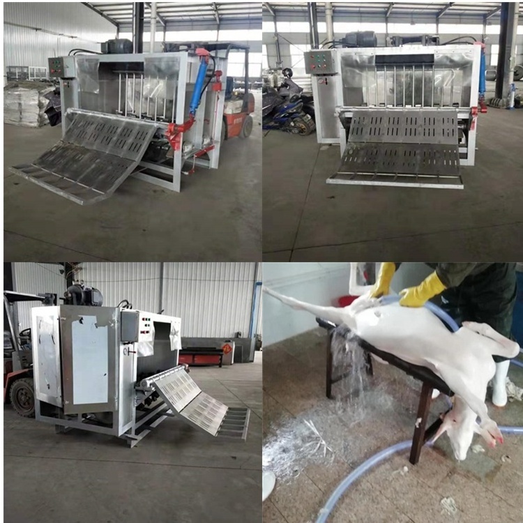 High Efficiency Animal Cow Cattle Slaughter pig Slaughterhouse Sheep pig scalding machine