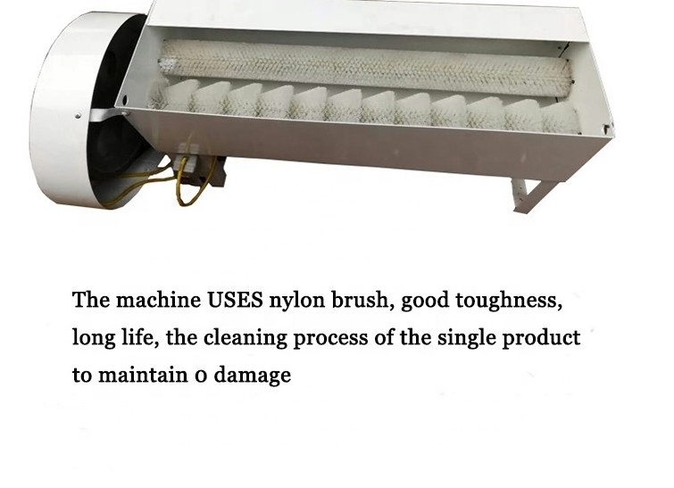 Grading Cleaning Washer for Sale Wash Sprayer Mini Roller Brush Processing Egg Washing And Sorting Machine