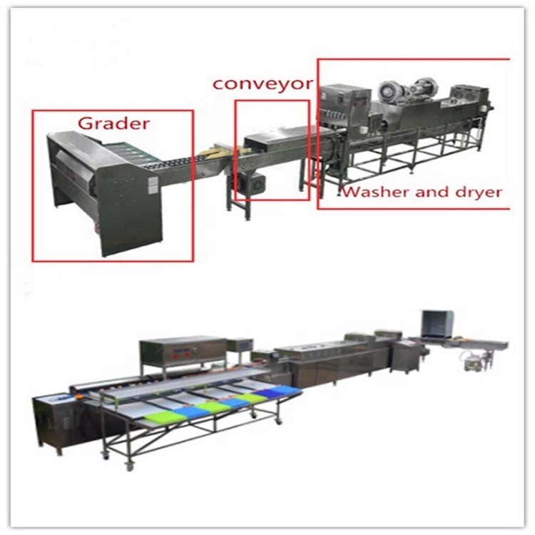 JUYOU Egg Grading And Packing Machine / Egg Cleaning And Grading machine /Egg Classifier