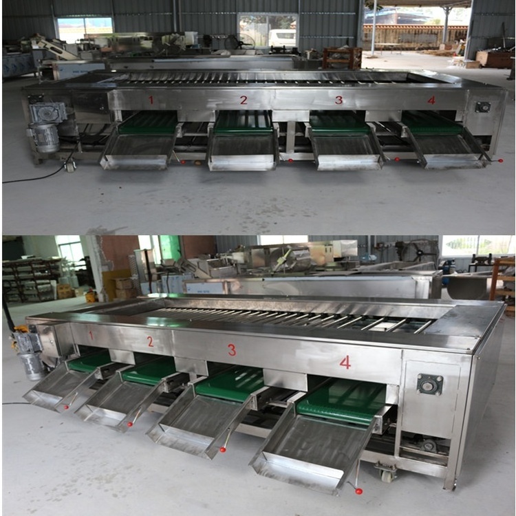 1000kg/h Automatic tomato and potato vegetable grading Production Line fruit apple onion peach sorting machine