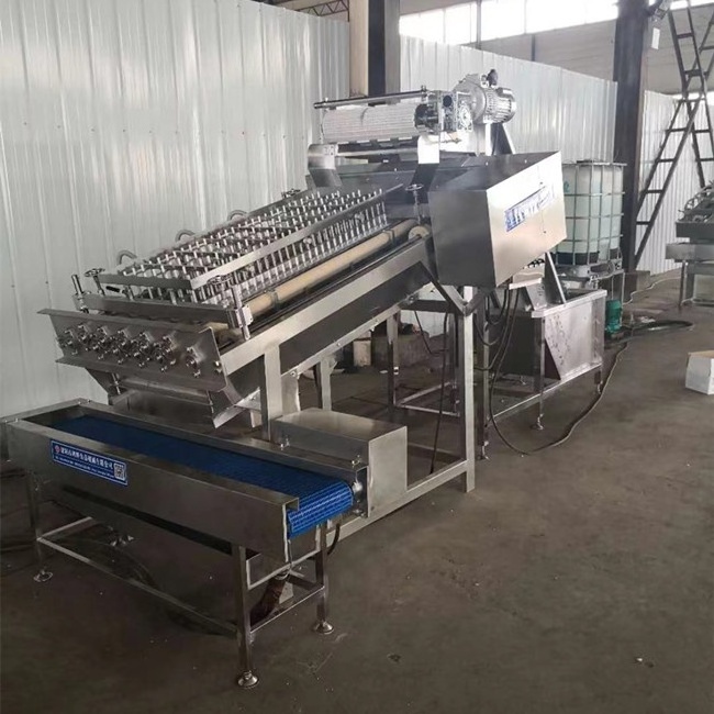 JUYOU Dried Shrimp Shell Separated Machine Prawn Processing Machinery Prawn Peeling Machine