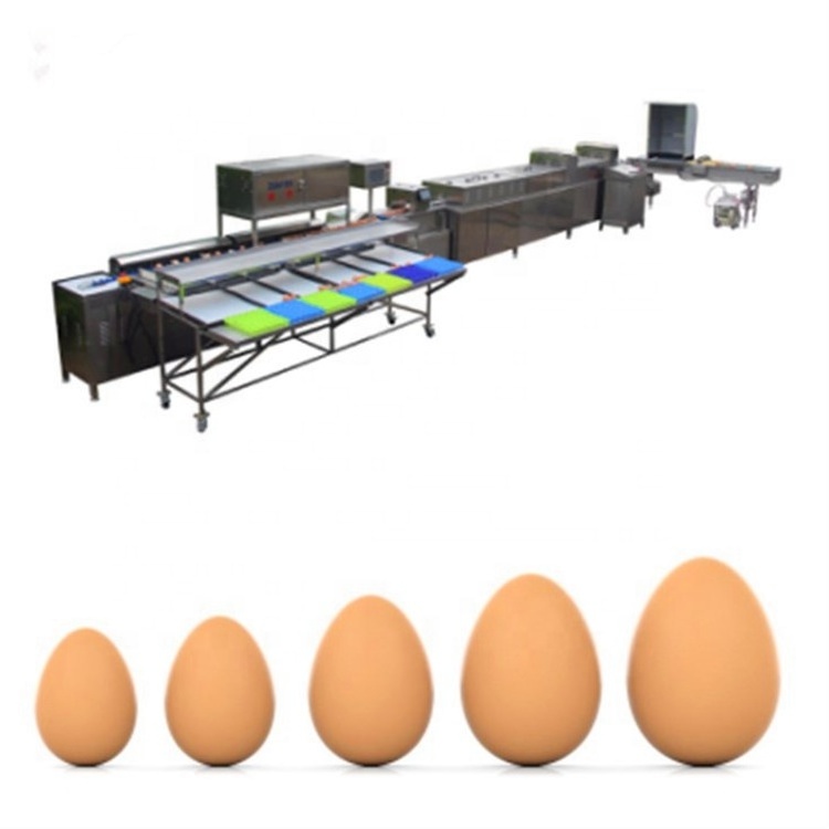 JUYOU Egg Grading And Packing Machine / Egg Cleaning And Grading machine /Egg Classifier