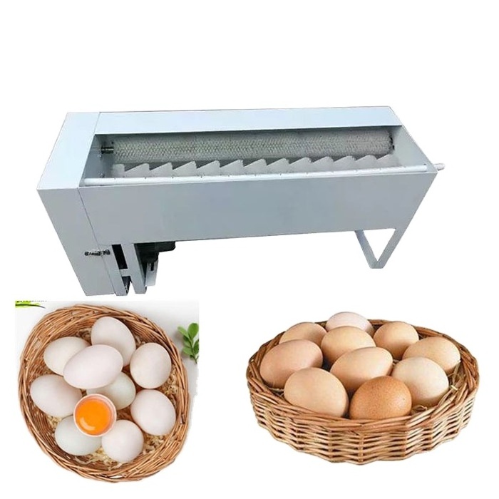 Brush Cleaning Automatic Fresh Washer Chicken Egg Washing Machine