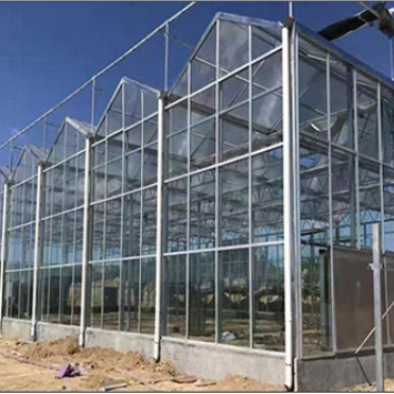 cheap intelligent agriculture multi-span glass greenhouse hydroponic greenhouse