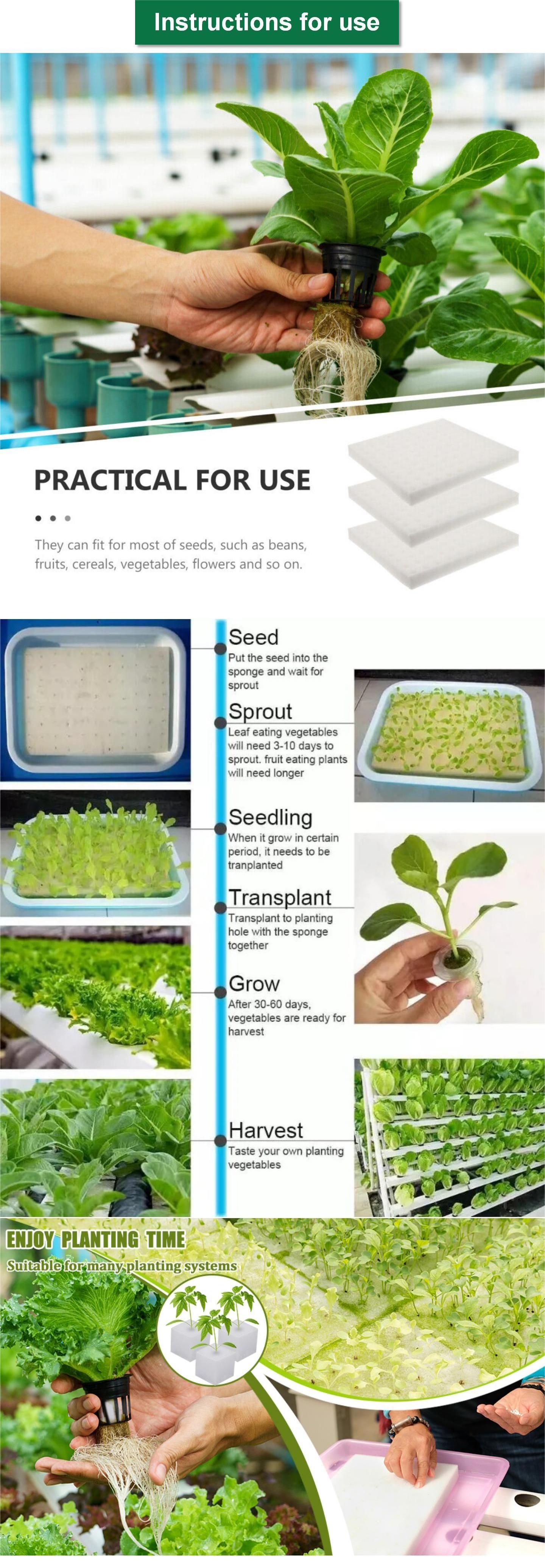 Soilless Hydroponic Seed Vegetable Cultivation System Gardening Tools Soilless Greenhouse Seedlings Planted Hydroponic Sponge