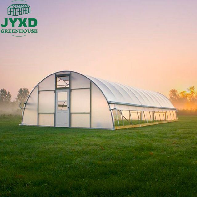 Passive solar greenhouse, tunnel greenhouse, mushroom growing single span greenhouse