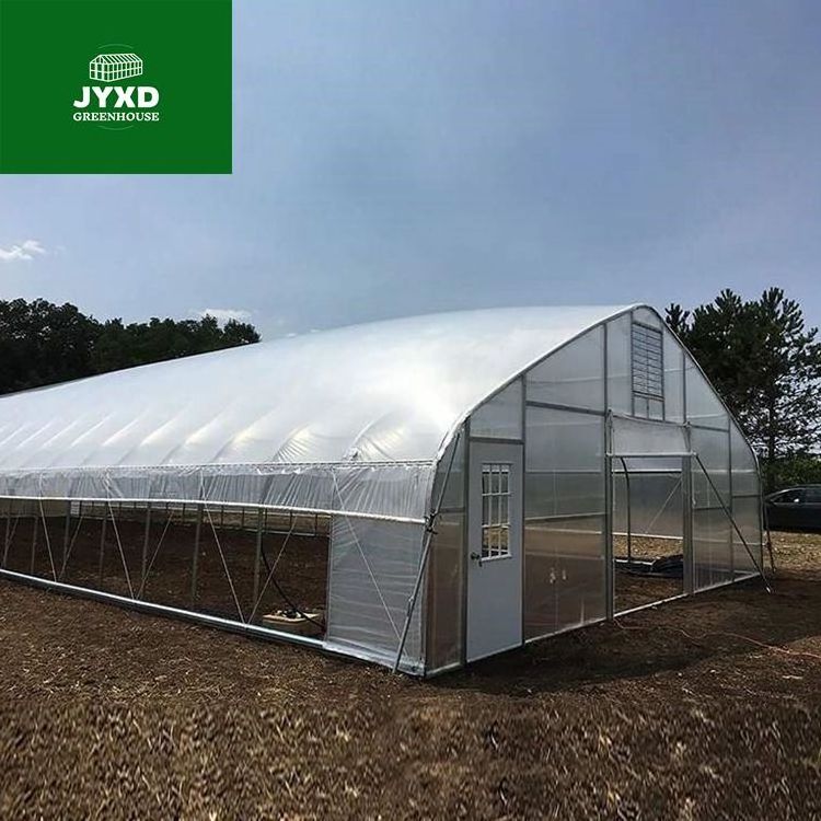 Passive solar greenhouse, tunnel greenhouse, mushroom growing single span greenhouse