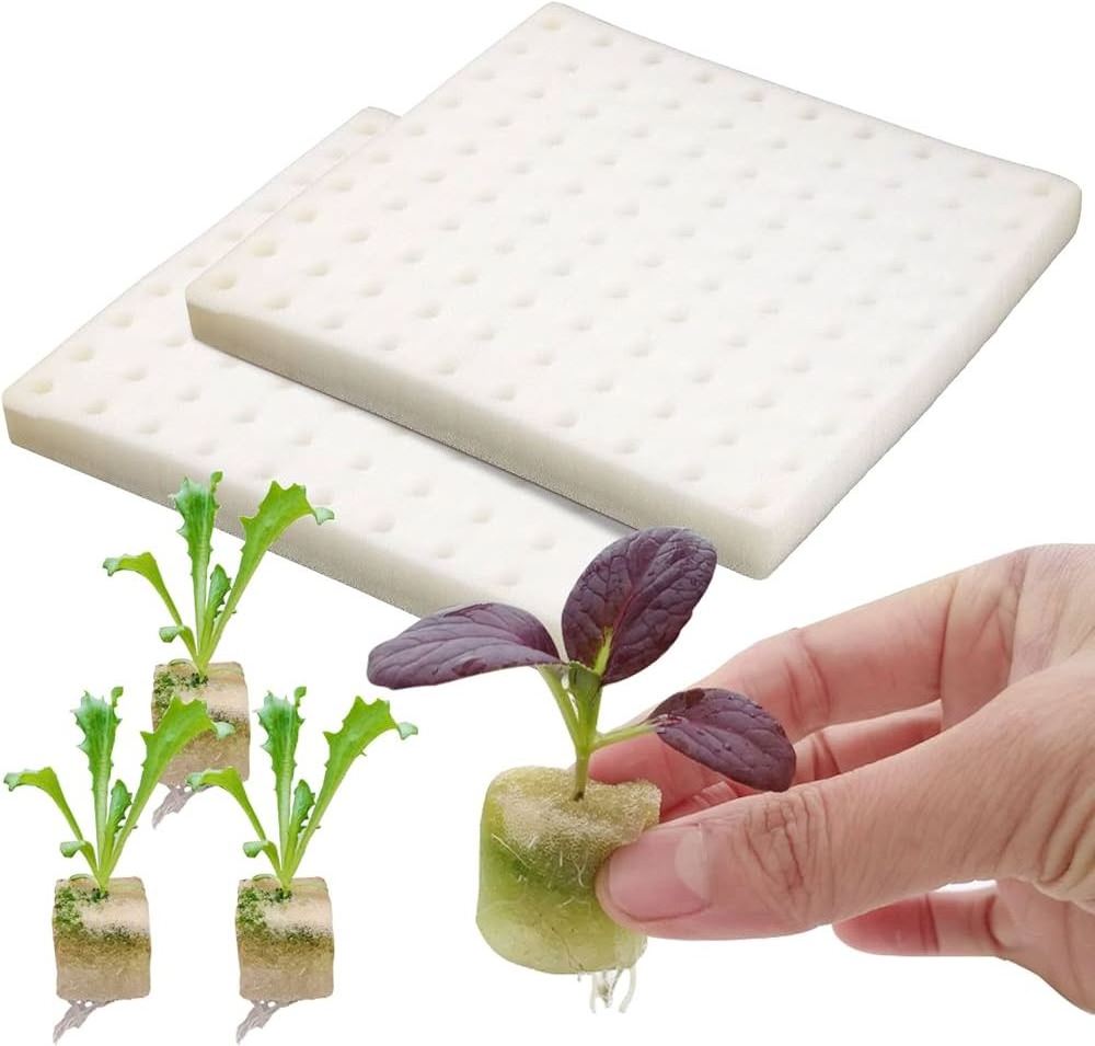 Soilless Hydroponic Seed Vegetable Cultivation System Gardening Tools Soilless Greenhouse Seedlings Planted Hydroponic Sponge