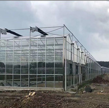 cheap intelligent agriculture multi-span glass greenhouse hydroponic greenhouse