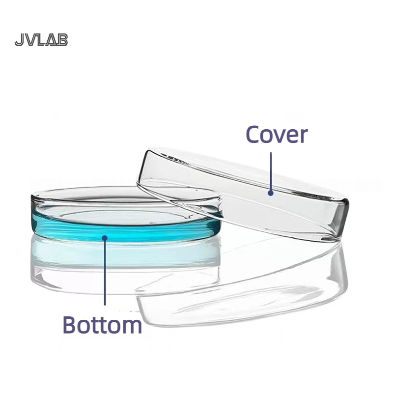 Glass Petri Dish Reusable Clear Culture Dish High Quality Borosilicate Glass Laboratory Petri Dish With Cover 60 75 90 100 mm