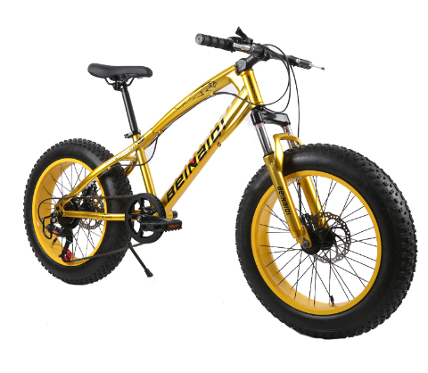 20 Inch Fat Bike 4.0 Fat Tire Bicycle Children Beach Snow Bike 7/21/24/27 Speed Mountain Bicycle for Kid Steel Moutain Bike 16kg