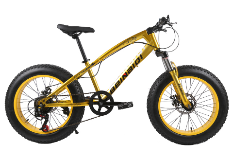 20 Inch Fat Bike 4.0 Fat Tire Bicycle Children Beach Snow Bike 7/21/24/27 Speed Mountain Bicycle for Kid Steel Moutain Bike 16kg