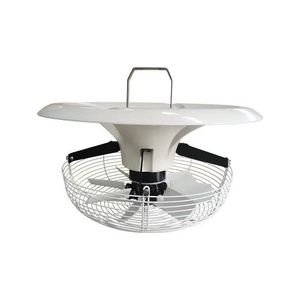 V-fan High Power Ceiling Fan In Greenhouses Commercial Planting Ventilation Equipment