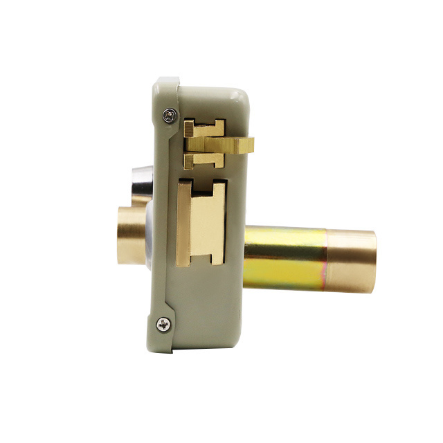 2024 Manufacturer Smart Lock Electronic Magnetic Electric Door Rim Lock For Iron Door Wooden Door Full Brass Cylinder Gate Lock