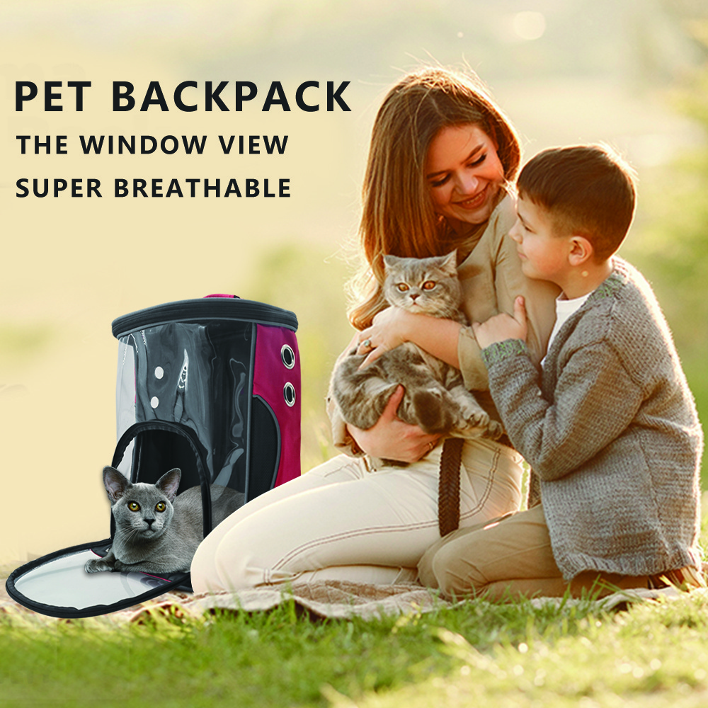 Cat Backpack Carrier Clear Pet Carrier Front Backpack for Cat Breathable Mesh Lightweight Pet Backpack for Traveling Walking