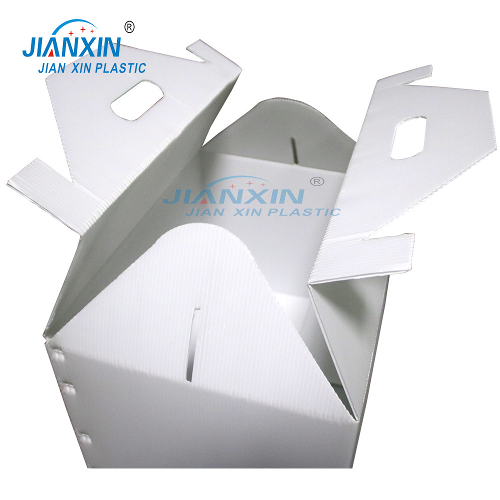 OEM Folding PP Corrugated Plastic Pet Carrier Box