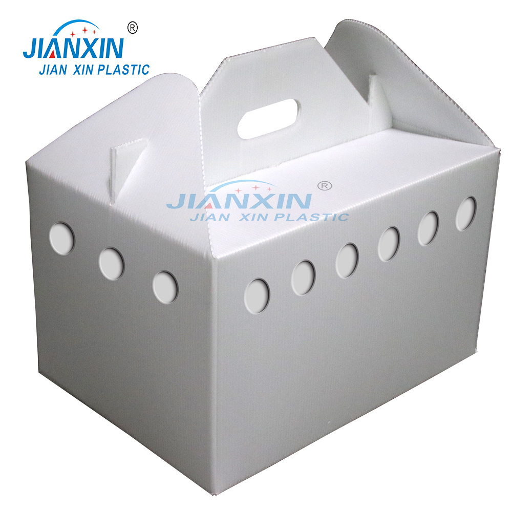 OEM Folding PP Corrugated Plastic Pet Carrier Box