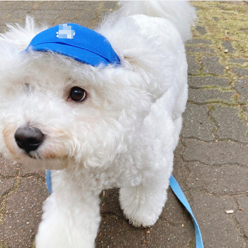 JXANRY Ins Fashion Pets Logo Hat Pet Popular Hat High-end Dog Puppy Hat Popular Small Dog Cute Accessories