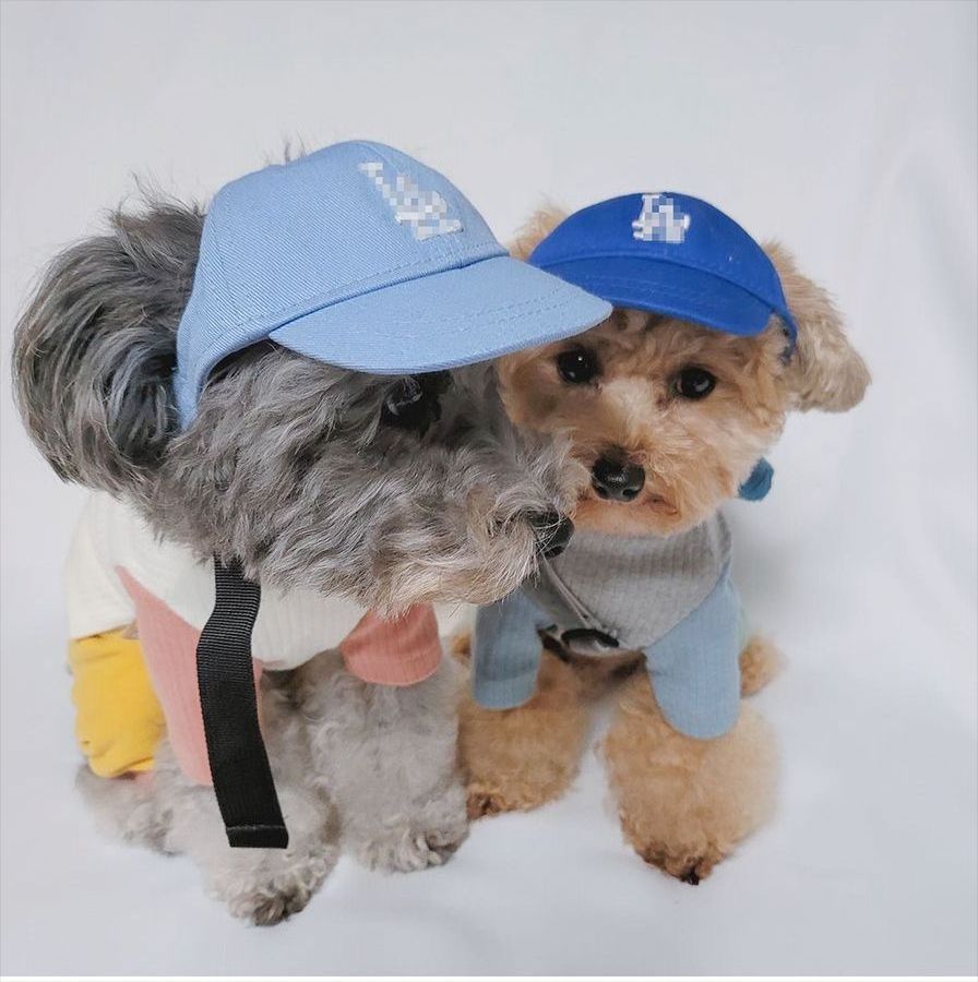 JXANRY Ins Fashion Pets Logo Hat Pet Popular Hat High-end Dog Puppy Hat Popular Small Dog Cute Accessories