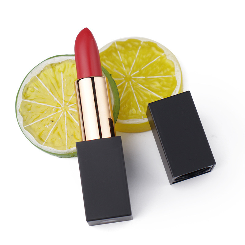 Professional cosmetics vegan cruelty free glossy high pigment matte lipstick private label