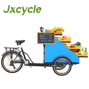 adult electric three wheel tricycle food cart fruit truck