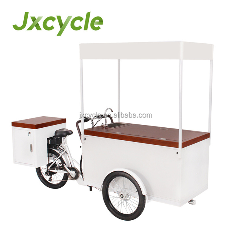 Classical Ice Cream Bike with 100W Solar Panel 230L Freezer for Mobile Sale