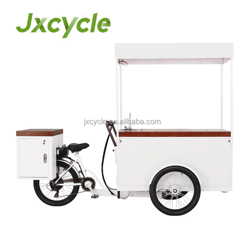 Classical Ice Cream Bike with 100W Solar Panel 230L Freezer for Mobile Sale