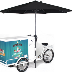 Electric Solar Panel Cargo Freezer Trike Ice Cream Bike For Sale