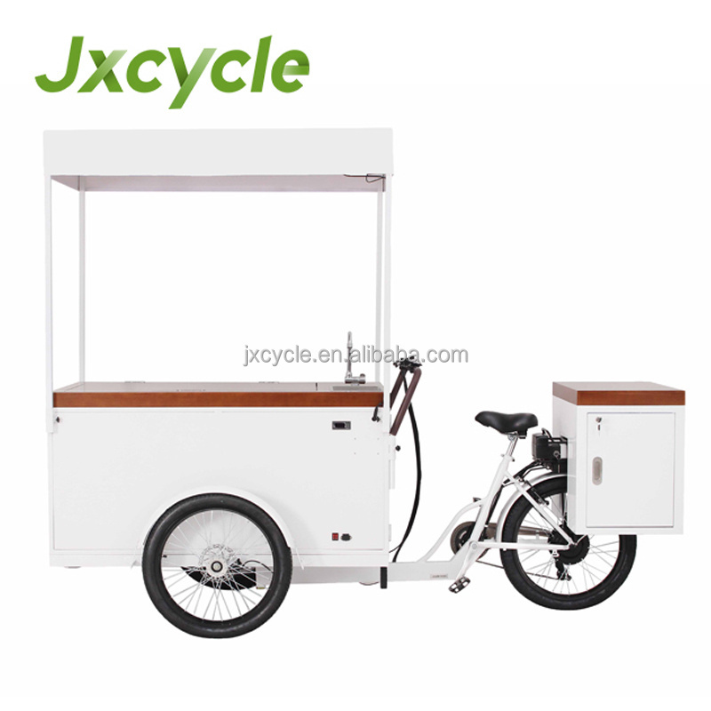 Classical Ice Cream Bike with 100W Solar Panel 230L Freezer for Mobile Sale