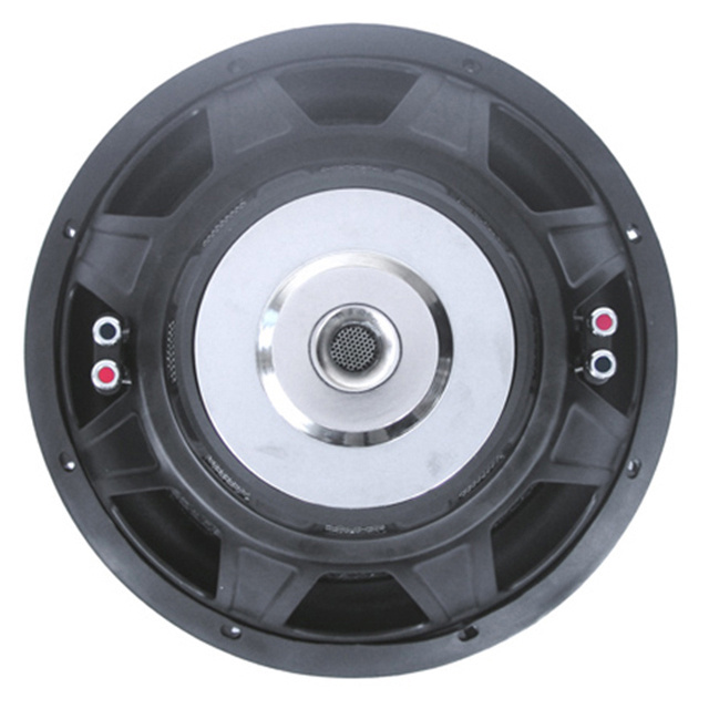 Low price high performance car subwoofer with 10