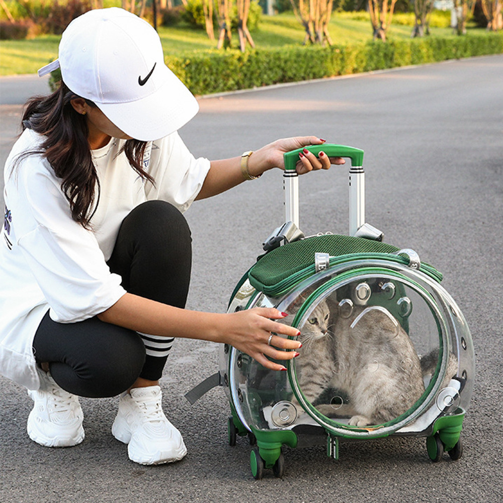 GREAT Portable Transparent Trolley Dog Cat House Travel Backpack Pet Carrier Pet Carrier with Wheels