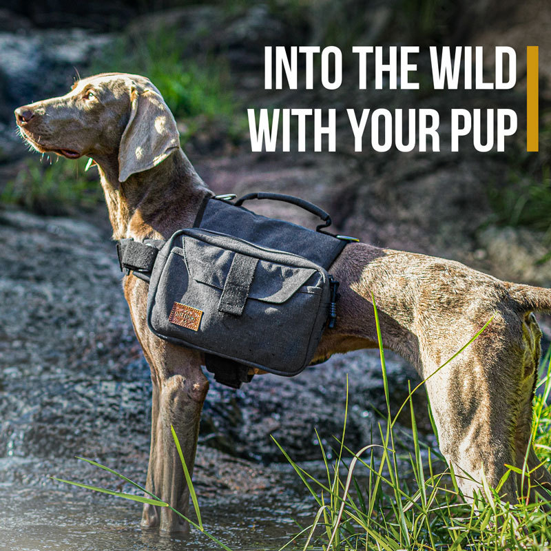 Dog Pack Hound Travel Camping Hiking Backpack Harness Saddle Bag Rucksack for Medium & Large Dog