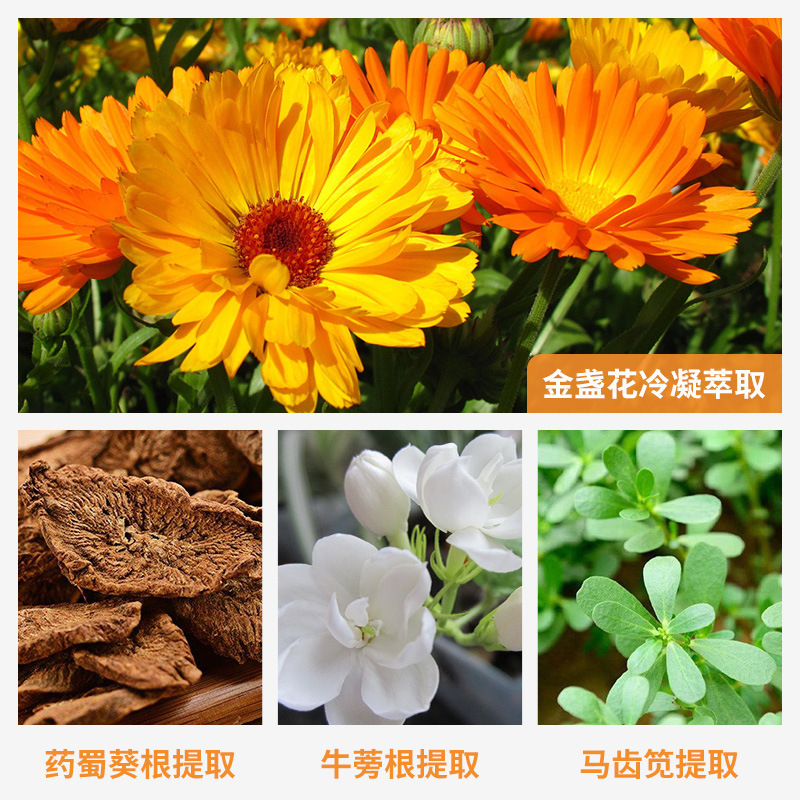 Hot Selling 250ML Customized Your Logo Toner hydrating Calendula Toner For Face refreshing Toner Skin