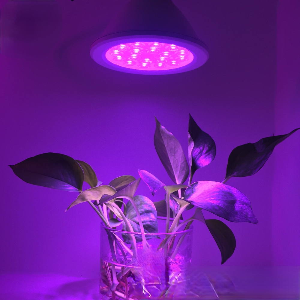 LED Grow Light Table Lamp 15W SMD Red and Blue Ratio PAR38 Plant Growth Seedling Lamp Fill Light Plant Lights