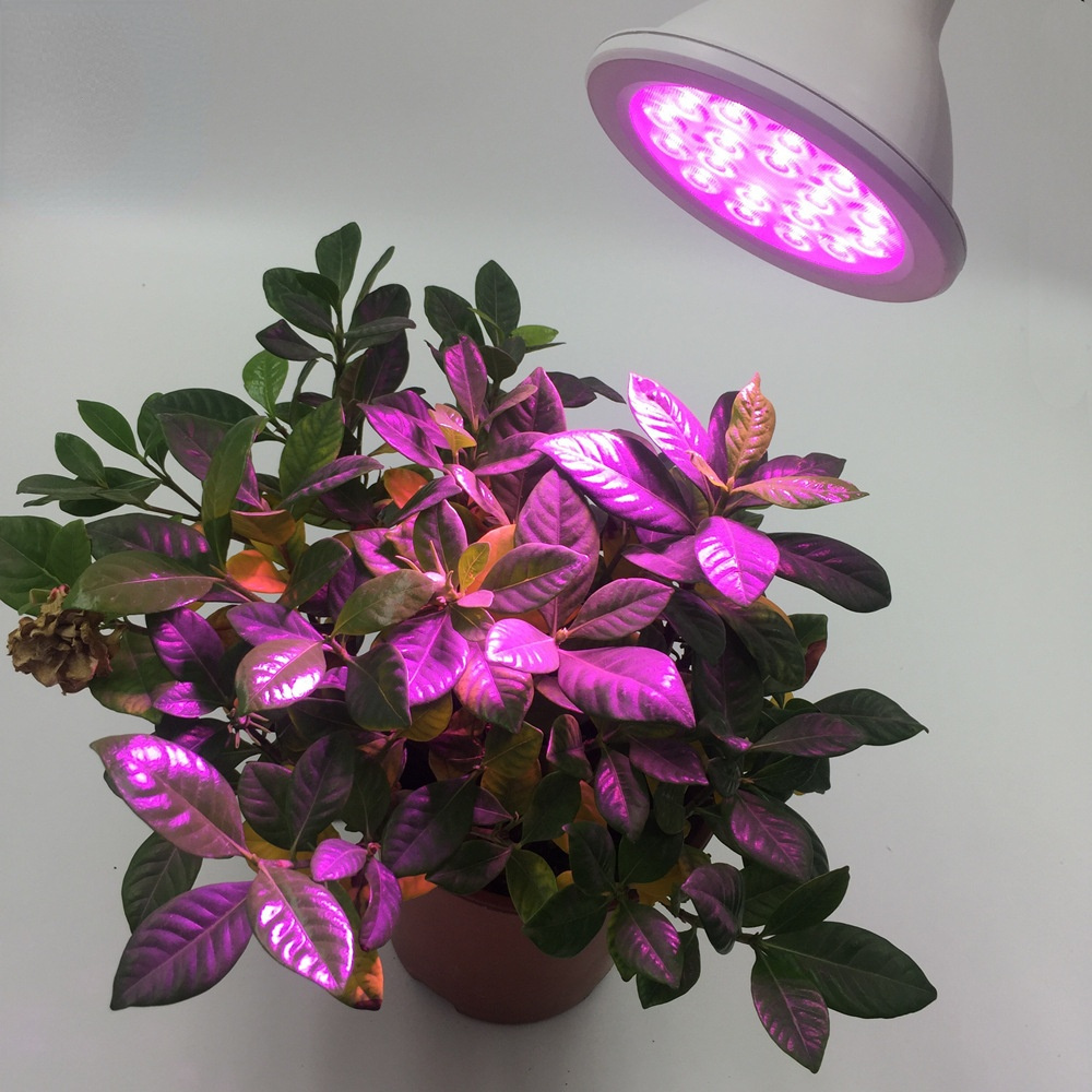 LED Grow Light Table Lamp 15W SMD Red and Blue Ratio PAR38 Plant Growth Seedling Lamp Fill Light Plant Lights