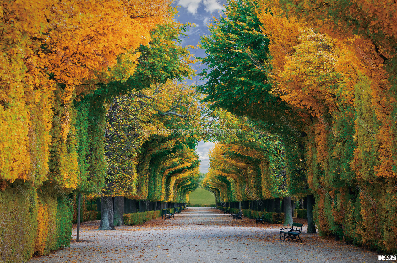 Elegant Garden Autumn Forest Scenery 3D 5D 8D Wall Mural Photo Wallpaper