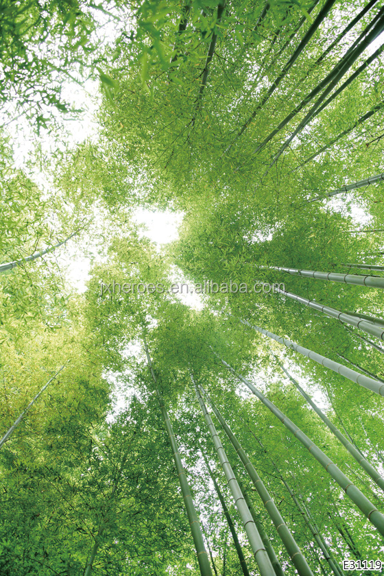 Fresh Nature Four Seasons Forest Sky 3D Ceiling Wallpaper for Home Decoration