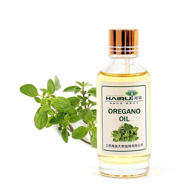 100 pure natural organic wholesale oregano essential oil bulk price