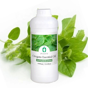 Bulk Wholesale Price Organic Pure Oregano Oil Essential Oil