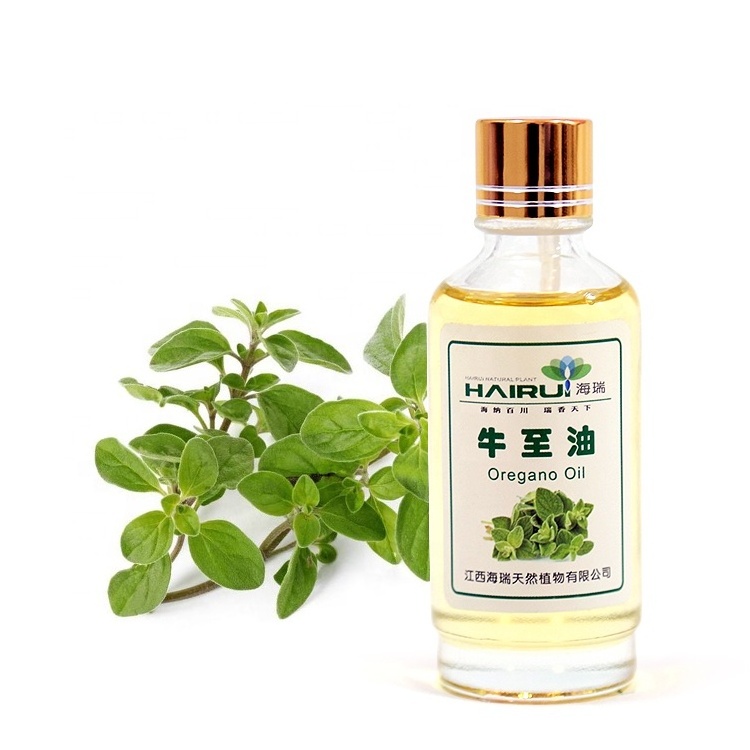 Bulk Wholesale Price Organic Pure Oregano Oil Essential Oil