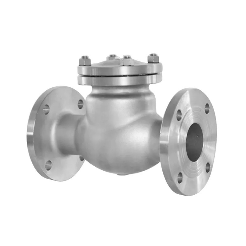 Durable Flange Swing Check Valve For Petroleum Chemical Industry