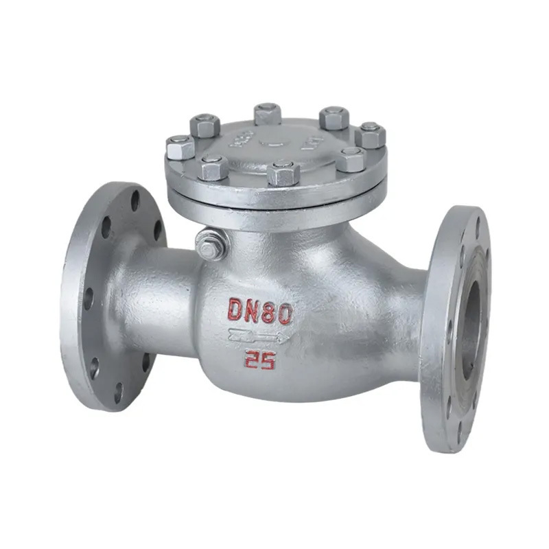 Durable Flange Swing Check Valve For Petroleum Chemical Industry