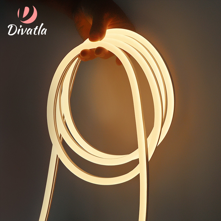 DIVATLA  Decorative Design Waterproof Flexible Flex Rubber Rope Tube Lamp 6w LED Light Neon Strip