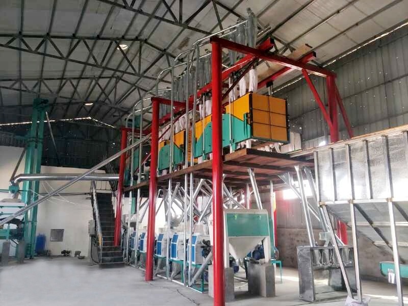 Large Scale 80 TPD Maize Corn Grits Flour Production Line machine