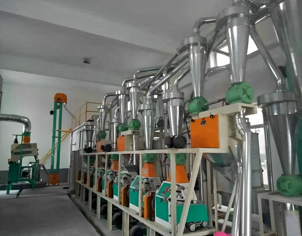 50 tons per day turnkey project corn flour maize grits /flour/powder MILL PLAN MACHINE