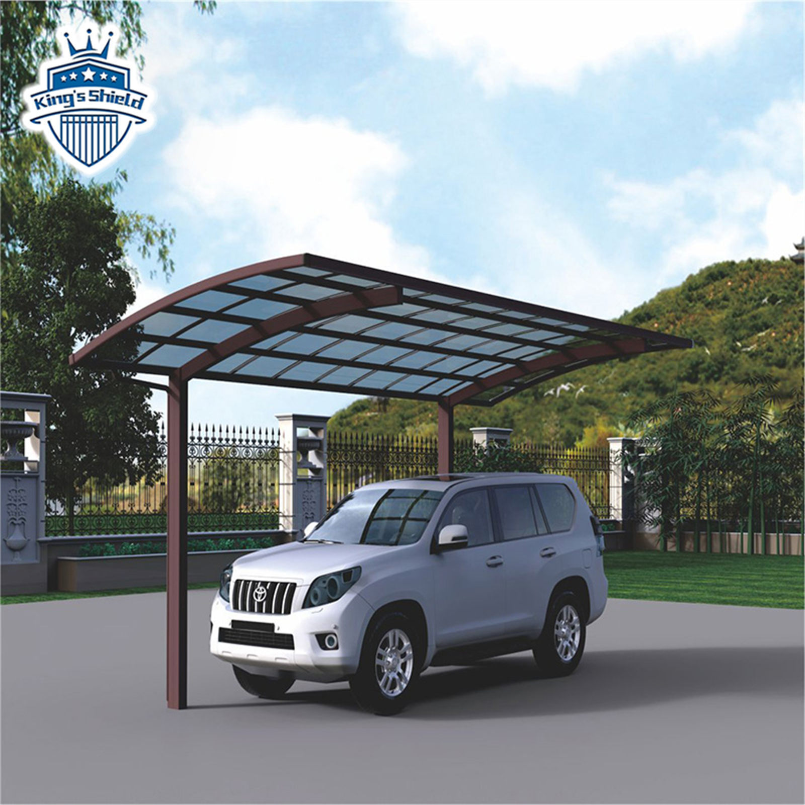 High Quality Polycarbonate Roof Awing Aluminum Frame Outdoor Rainproof Canopy for Window