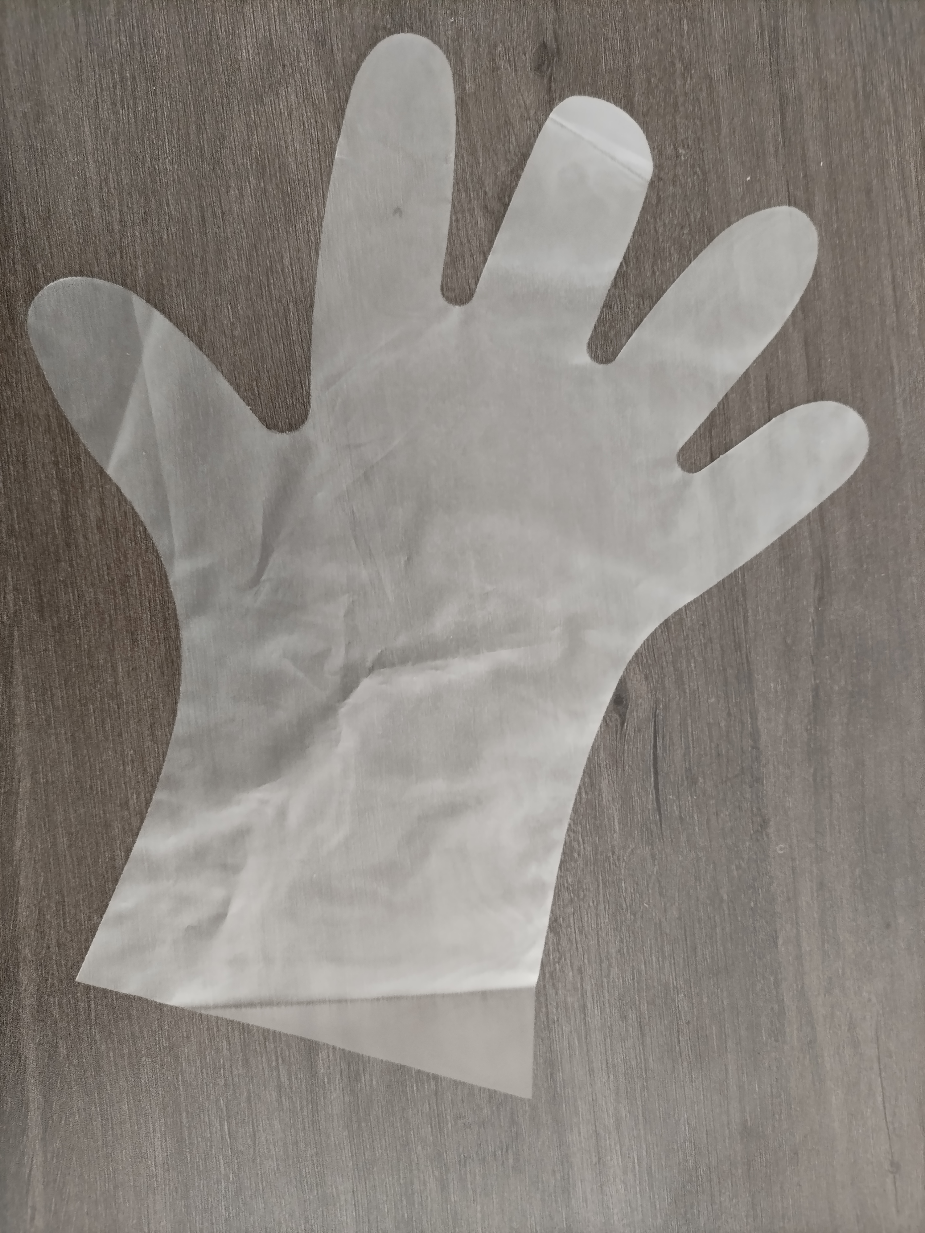 Disposable CPT/TPE/PE Gloves Restaurant Kitchen Disposable Gloves