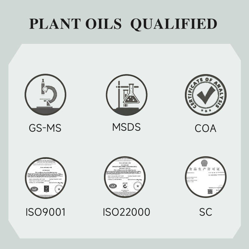 Crude Linseed Oil Bulk Raw Linseed Oil Flaxseed/Linseed Oil Seed Price